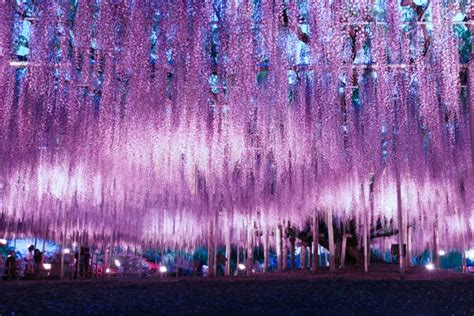 unique places in japan.